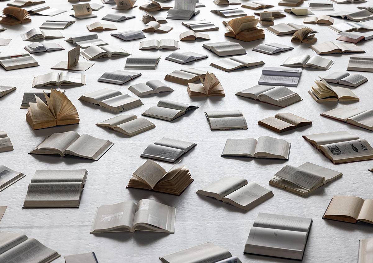 HP-Read-Book.jpg
