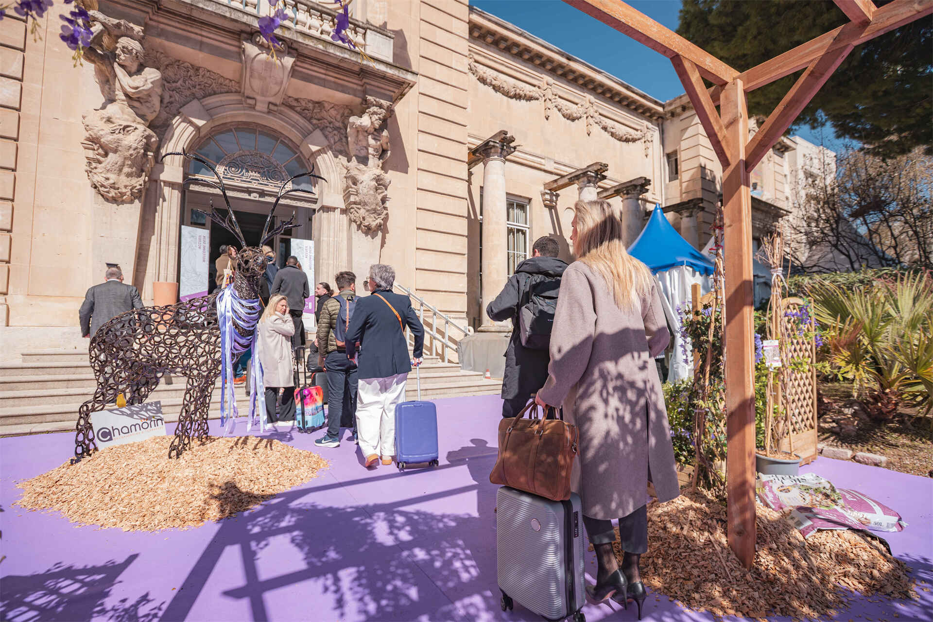 JDC2025-2_808da1f7-3111-4d66-a988-1f3a42e99eb8 (2) (2).jpg