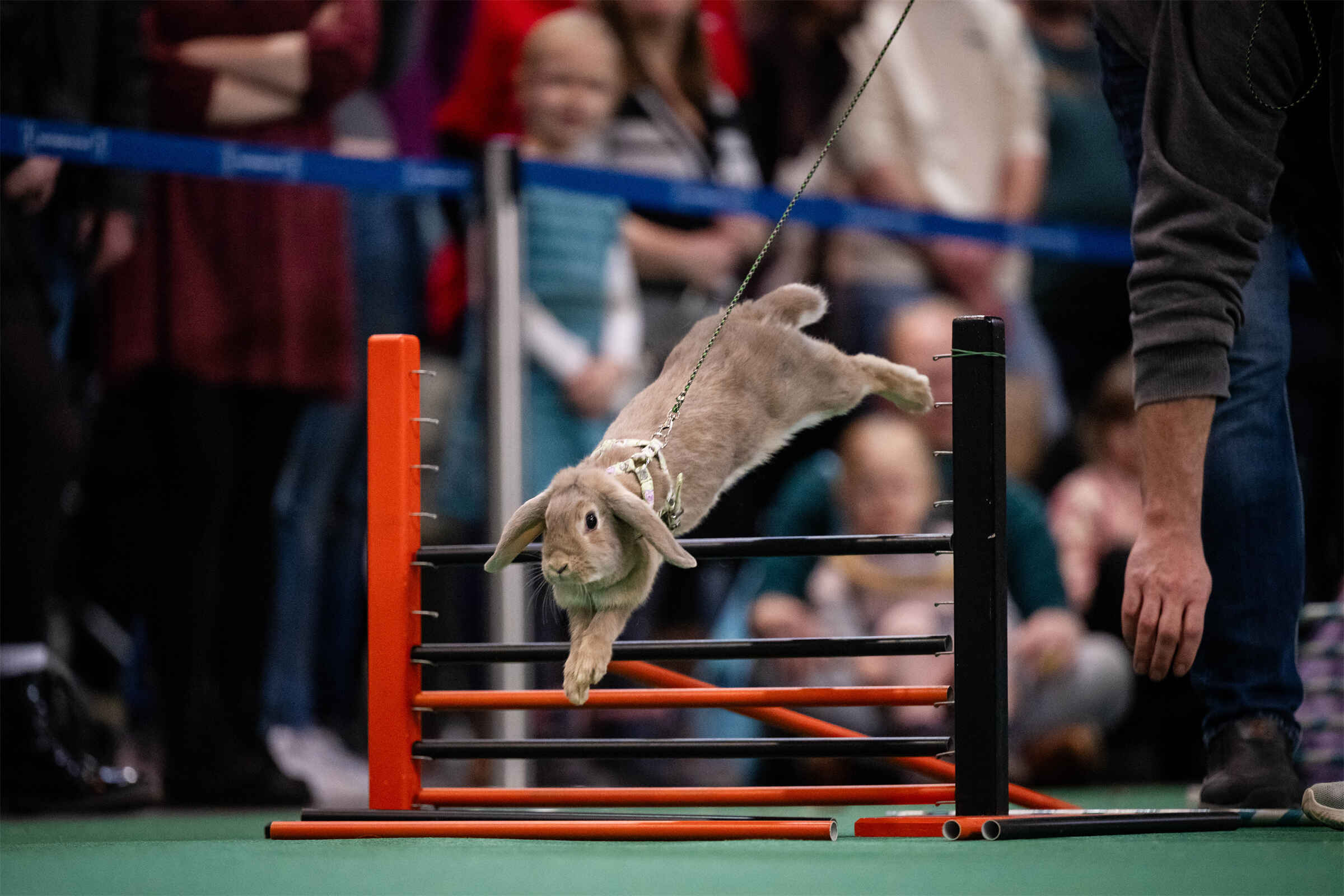 hgf25-cm-0060-2 (2).jpg