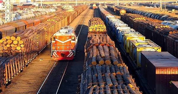 哈萨克斯坦政府实行为期半年的木材出口禁令