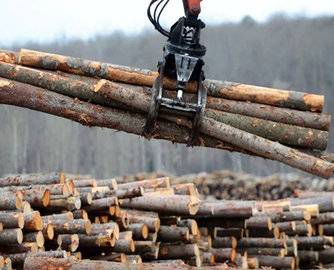 美国将延长对加拿大软木产品征收关税