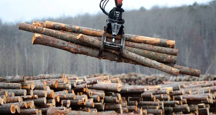 美国拟提高对加拿大木材关税