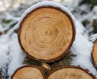 美国突然宣布解除俄罗斯木材进口禁令