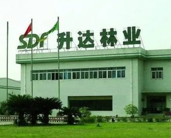 升达林业“摘帽”，但仍有超9亿元资金被原控股股东占用