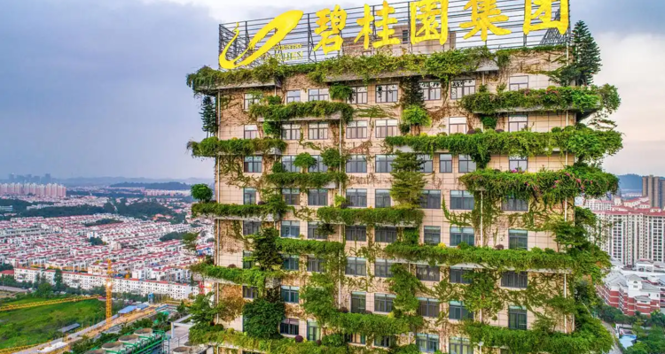 碧桂园上半年营收725.7亿元，债务重组预计降债840亿元