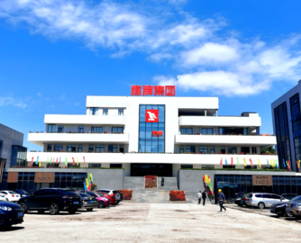 天安新材子公司追款未果，与恒大5000万借款纠纷案裁定终结执行