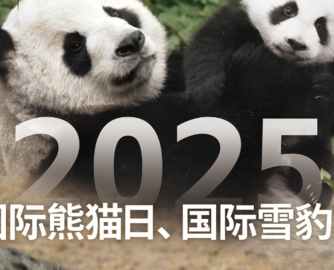 绿色栖息守望未来，舒达如何定义可持续性睡眠？