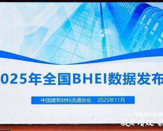 2025全国BHEI数据发布：全国建材家居市场整体仍处于饱和状态