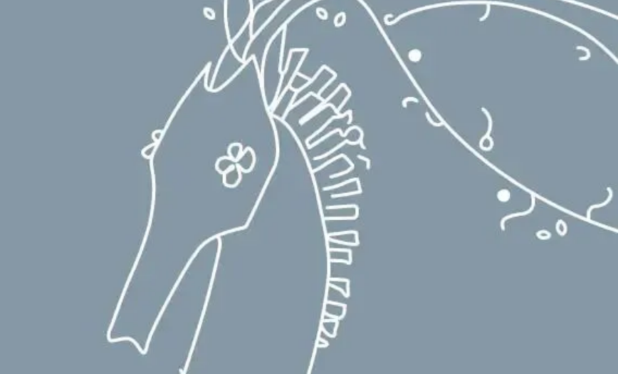 Giorgetti 2025假日系列，以「梦之马」焕新空间叙事