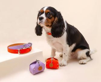 巴黎MO展重磅打造宠物主题区PET SQUARE：解码高端宠物生活方式新趋势