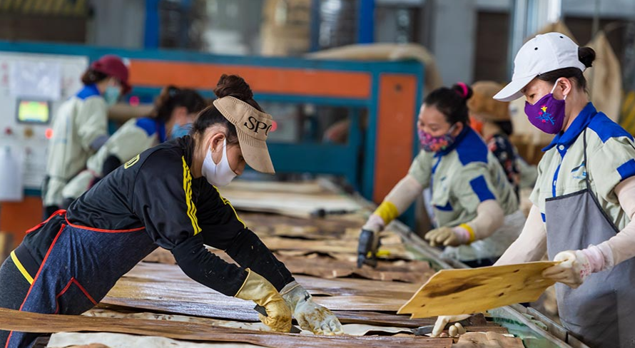 越南木材对中国出口“六连”暴涨！价格涨幅最高达55.6%