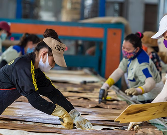 越南木材对中国出口“六连”暴涨！价格涨幅最高达55.6%