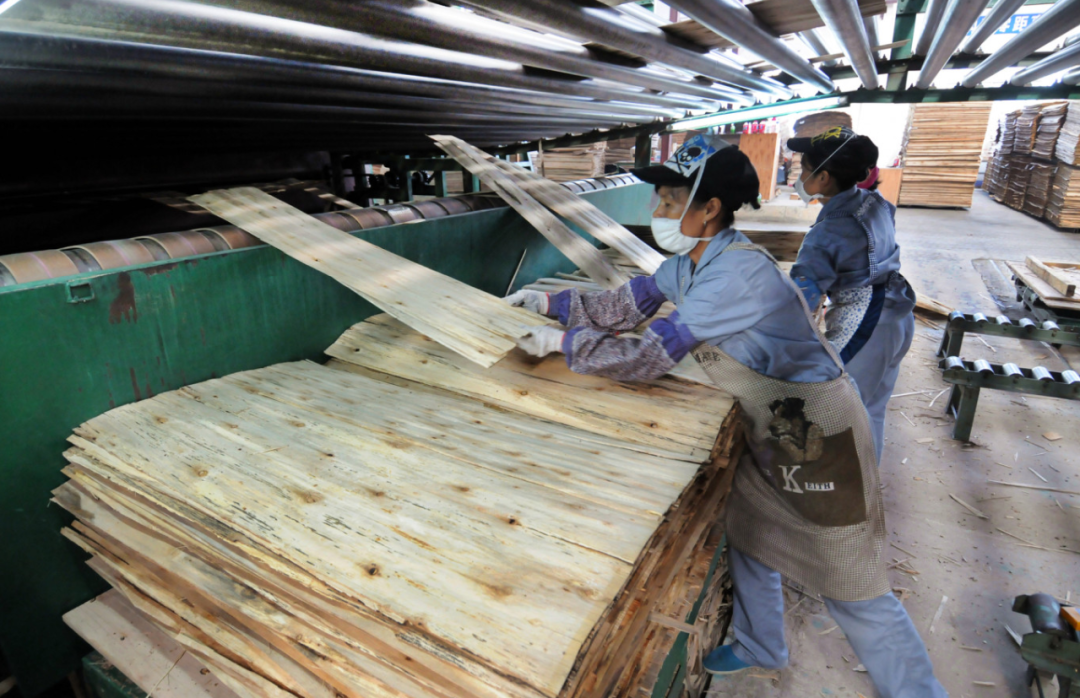 美国对华硬木胶合板加征187%初步关税，3月2日起暂停清关