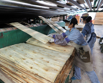 美国对华硬木胶合板加征187%初步关税，3月2日起暂停清关