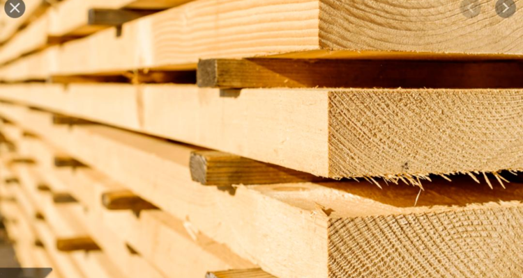 2026年“两会”前夕，多位代表委员将为取消实木地板消费税发声