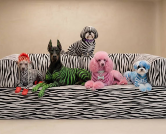 丹麦家具OMHU推出斑马纹TEDDY沙发，极简设计迎来“狂野”变奏