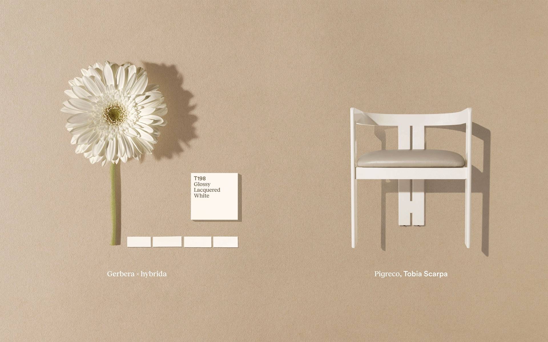 MDW2026｜Tacchini的色彩新章：以自然为灵感的植物标本笔记
