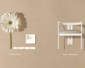 MDW2026｜Tacchini的色彩新章：以自然为灵感的植物标本笔记