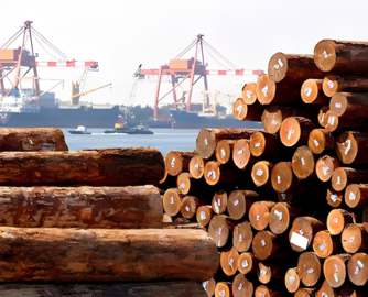 2月越南对中国木材出口额同比增长684.7%