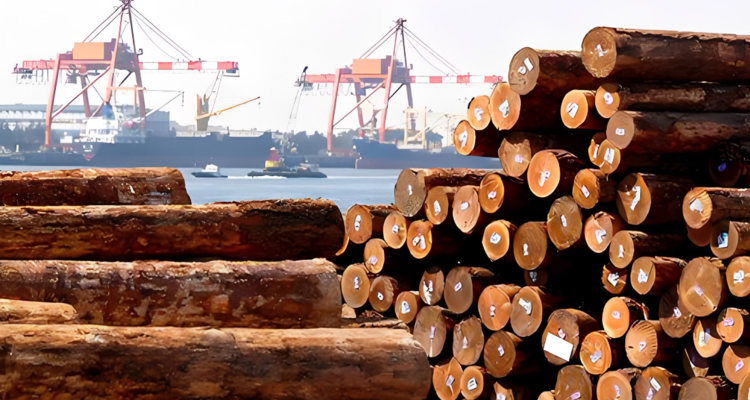 2月越南对中国木材出口额同比增长684.7%