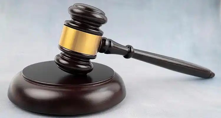 四川凉山3户木业公司虚开1.1亿收购发票，120户下游企业被查