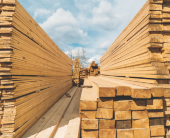 美国着手将加拿大软木关税下调至25%