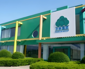 丰林集团子公司被要求补税2700万元