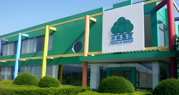 丰林集团子公司被要求补税2700万元