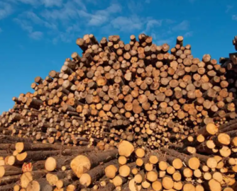 3月越南木材及木制品出口额环比上涨19%