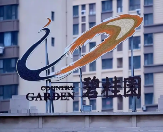 引入外援！碧桂园百亿项目将重启