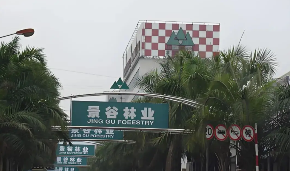 景谷林业聘任新总经理！自愿放弃薪酬