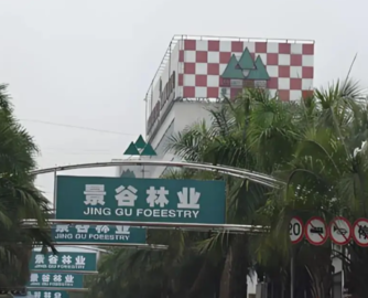 景谷林业聘任新总经理！自愿放弃薪酬