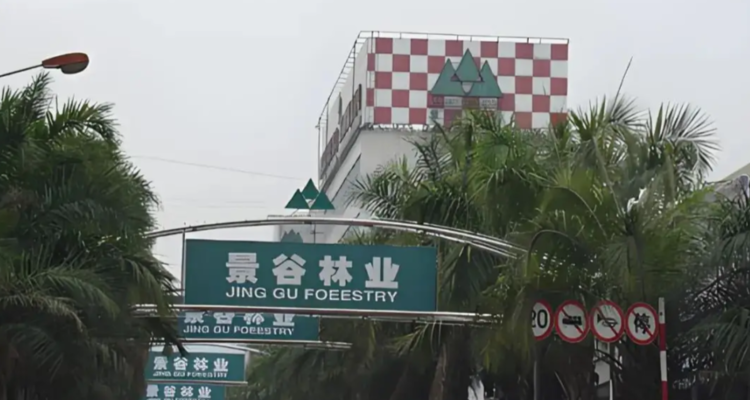 景谷林业聘任新总经理！自愿放弃薪酬