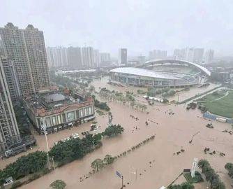 暴雨“围城”！广西板材原料、生产、物流全线告急